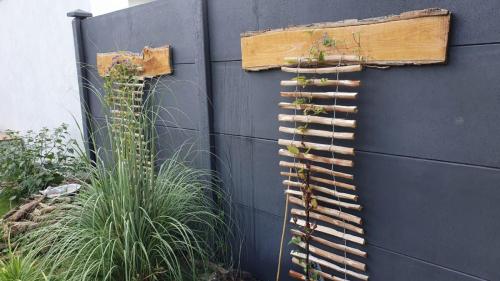 10 (1) (1) (1) (1) (1) (1) (1) (1) (1) (1)