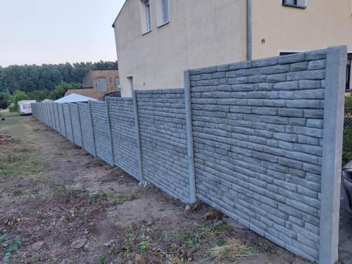 10 (1) (1) (1) (1) (1) (1) (1) (1) (1) (1) (1) (1) (1) (1)