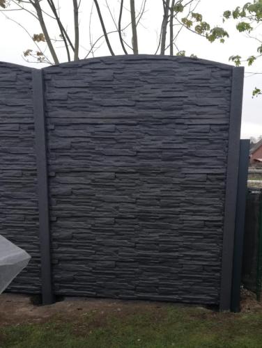 11 (1) (1) (1) (1) (1) (1)