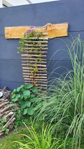 11 (1) (1) (1) (1) (1) (1) (1) (1) (1)