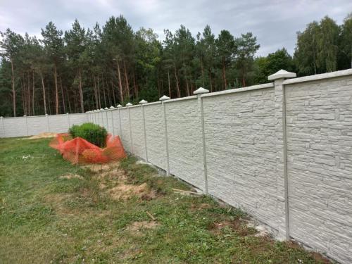 11 (1) (1) (1) (1) (1) (1) (1) (1) (1) (1) (1) (1) (1) (1) (1) (1) (1) (1) (1) (1) (1) (1) (1) (1) (1) (1)