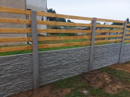 11 (1) (1) (1) (1) (1) (1) (1) (1) (1) (1) (1) (1) (1) (1) (1) (1) (1) (1) (1) (1) (1) (1) (1) (1) (1) (1) (1)