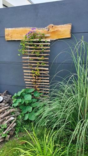 11 (1) (1) (1) (1) (1) (1) (1) (1) (1) (1) (1) (1) (1) (1) (1) (1) (1) (1) (1) (1) (1) (1) (1) (1) (1) (1) (1) (1) (1) (1) (1)