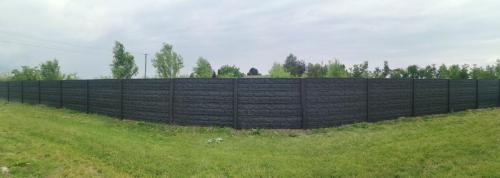 12 (1) (1) (1) (1) (1) (1)