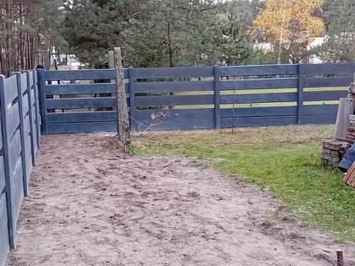 12 (1) (1) (1) (1) (1) (1) (1) (1) (1) (1) (1) (1) (1) (1)