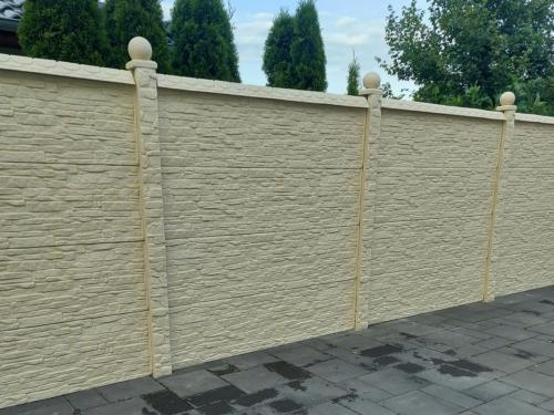 12 (1) (1) (1) (1) (1) (1) (1) (1) (1) (1) (1) (1) (1) (1) (1) (1) (1) (1) (1) (1) (1)