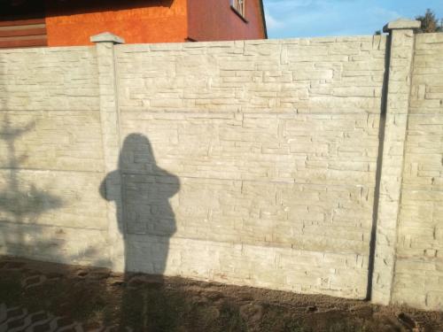 13 (1) (1) (1) (1) (1) (1) (1) (1)