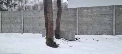 13 (1) (1) (1) (1) (1) (1) (1) (1) (1) (1) (1)