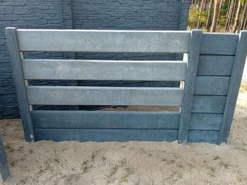 13 (1) (1) (1) (1) (1) (1) (1) (1) (1) (1) (1) (1) (1) (1)