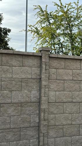 13 (1) (1) (1) (1) (1) (1) (1) (1) (1) (1) (1) (1) (1) (1) (1) (1) (1) (1) (1) (1) (1) (1) (1)