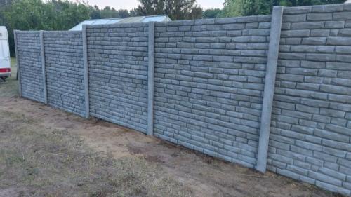 14 (1) (1) (1) (1) (1) (1) (1) (1) (1) (1) (1)