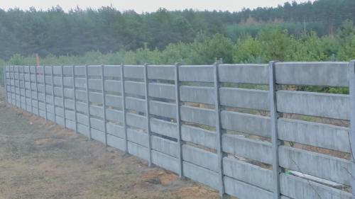 16 (1) (1) (1) (1) (1) (1) (1) (1) (1)