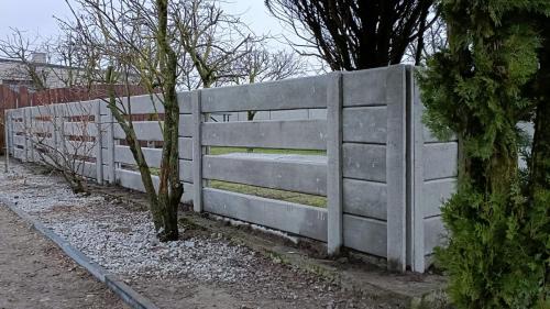 16 (1) (1) (1) (1) (1) (1) (1) (1) (1) (1)