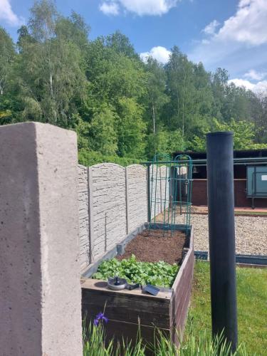 18 (1) (1) (1) (1) (1)