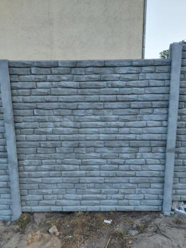 19 (1) (1) (1) (1) (1) (1)