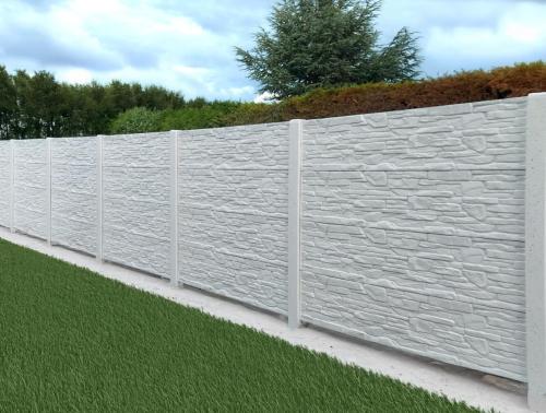 1 (1) (1) (1) (1) (1) (1) (1) (1)