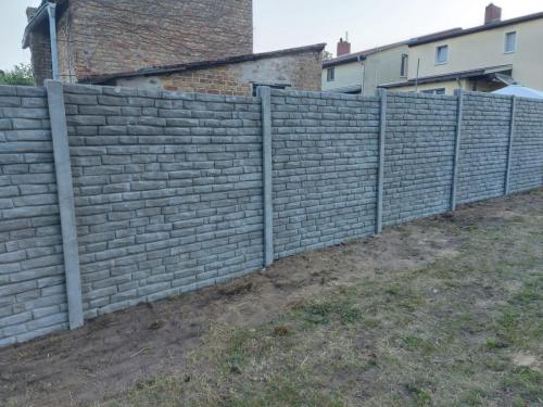 20 (1) (1) (1) (1) (1) (1)