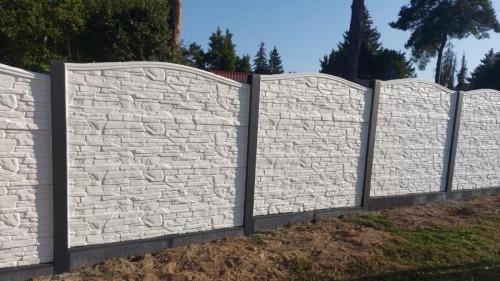 22 (1) (1) (1) (1) (1) (1) (1) (1)