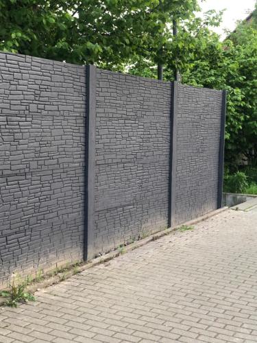 25 (1) (1) (1) (1) (1) (1)