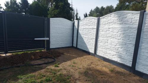 26 (1) (1) (1) (1) (1) (1) (1)