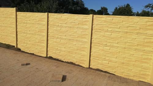 28 (1) (1) (1) (1) (1)