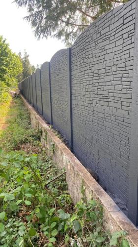 28 (1) (1) (1) (1) (1) (1) (1)