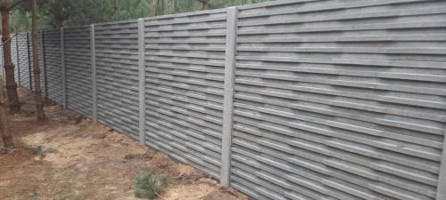 2 (1) (1) (1) (1) (1) (1) (1) (1) (1) (1) (1) (1) (1) (1) (1) (1) (1) (1) (1) (1) (1) (1) (1) (1) (1)