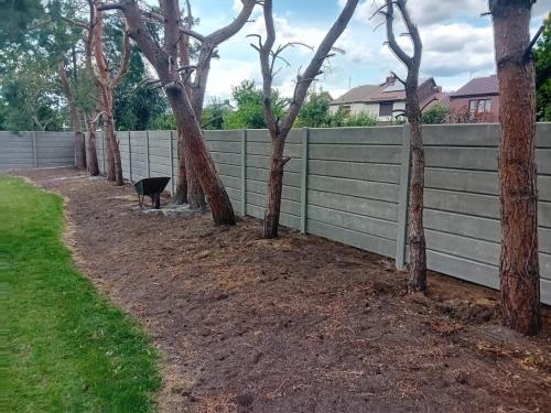 3 (1) (1) (1) (1) (1) (1) (1) (1) (1) (1) (1) (1) (1) (1) (1) (1) (1)