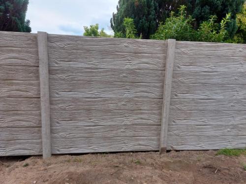 4 (1) (1) (1) (1) (1) (1) (1) (1) (1) (1) (1) (1)