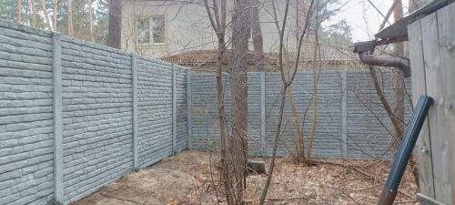 4 (1) (1) (1) (1) (1) (1) (1) (1) (1) (1) (1) (1) (1) (1) (1) (1)