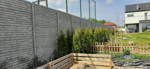 5 (1) (1) (1) (1) (1) (1) (1) (1) (1) (1) (1) (1) (1) (1) (1) (1)