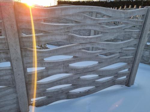 6 (1) (1) (1) (1) (1) (1) (1) (1) (1) (1) (1) (1) (1) (1) (1) (1) (1) (1) (1)