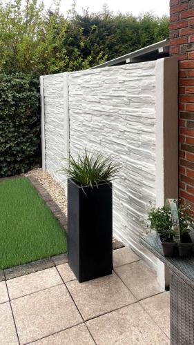 6 (1) (1) (1) (1) (1) (1) (1) (1) (1) (1) (1) (1) (1) (1) (1) (1) (1) (1) (1) (1) (1) (1) (1) (1) (1) (1) (1) (1) (1) (1) (1) (1) (1) (1) (1) (1) (1) (1) (1) (1) (1) (1) (1) (1) (1)