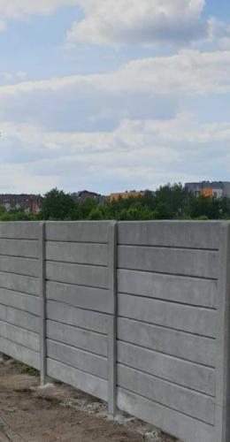 8 (1) (1) (1) (1) (1) (1) (1) (1) (1) (1) (1) (1) (1) (1) (1)