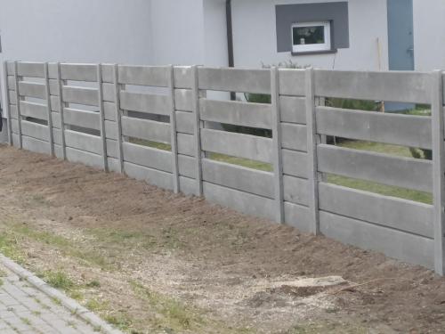 8 (1) (1) (1) (1) (1) (1) (1) (1) (1) (1) (1) (1) (1) (1) (1) (1)