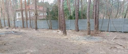 9 (1) (1) (1) (1) (1) (1) (1) (1) (1) (1) (1) (1) (1) (1)